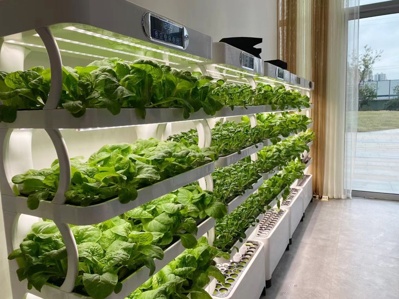 and Vertical Greenhouse Comple - Smart Garden Vertical Planter 评论和价格