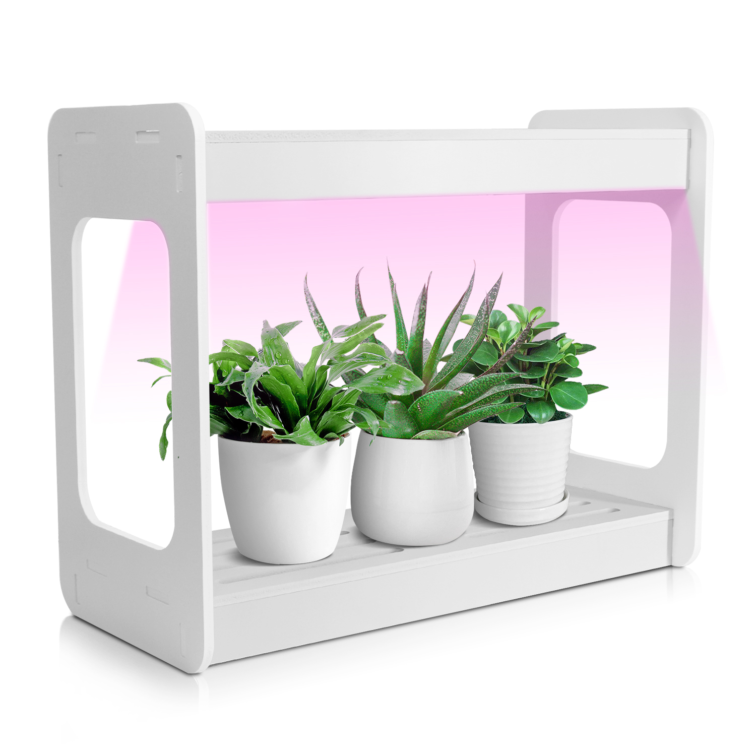 Smart Mini LED Grow Light Syst - Smart Led Garden 评论和价格
