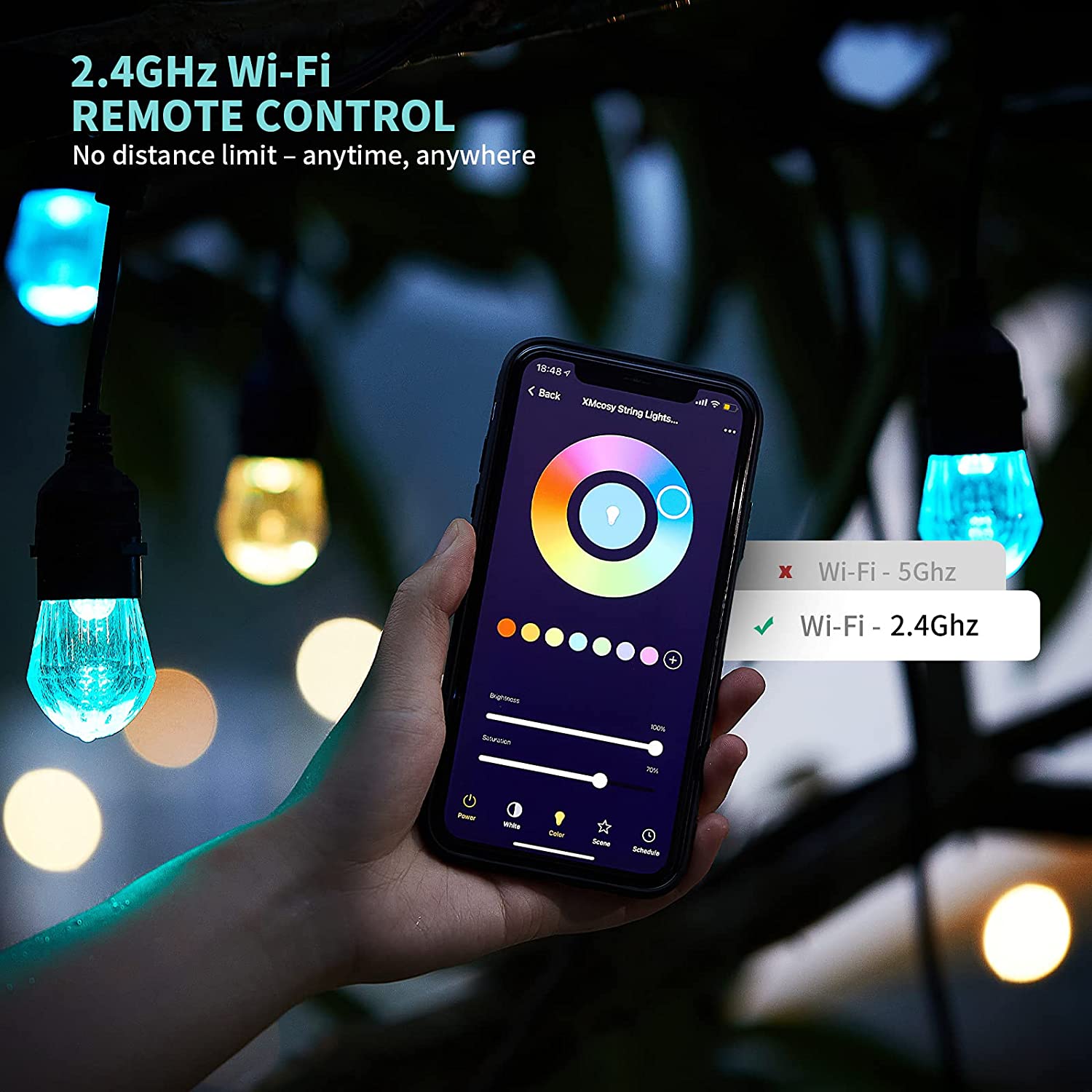 WiFi Tuya Smart RGB LED String - Smart Led Garden 评论和价格