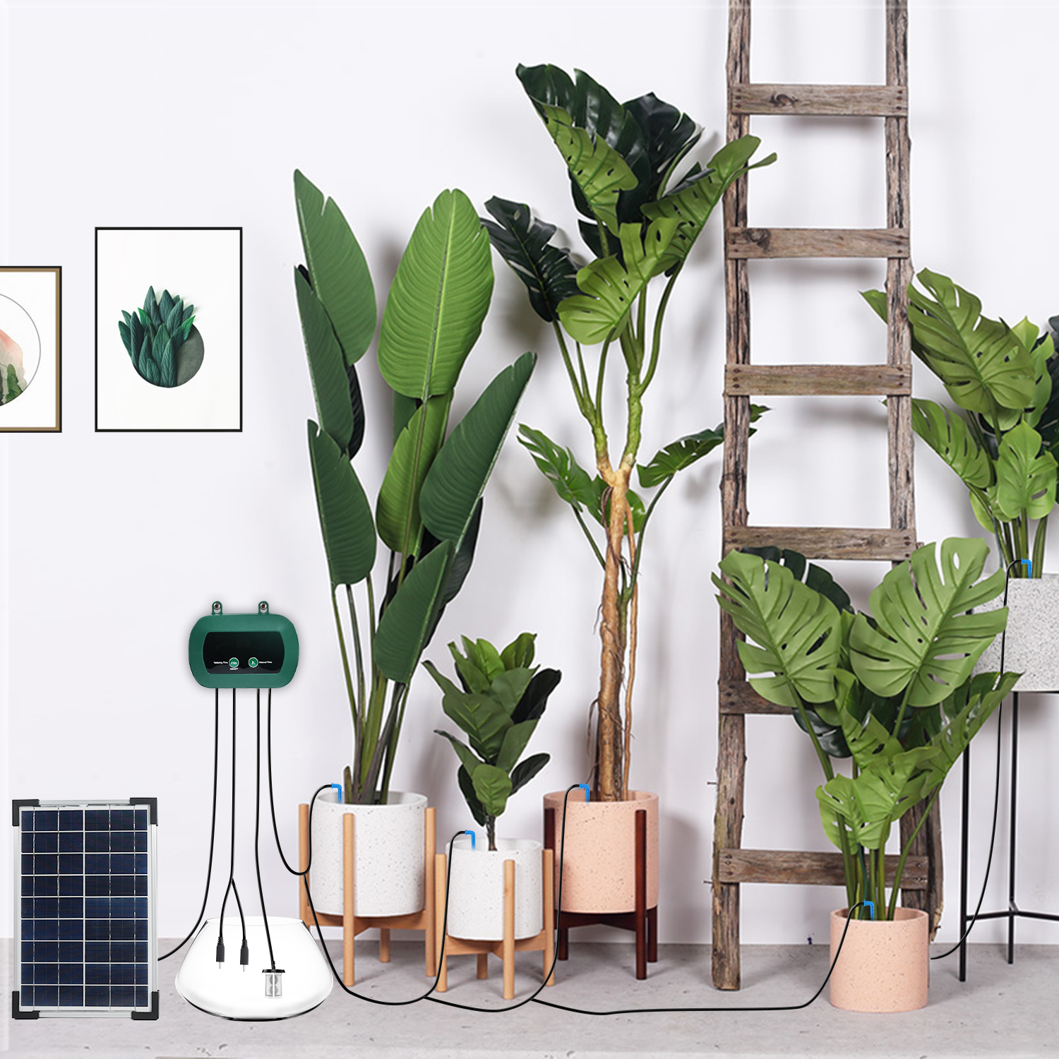 Solar Hydroponics Equipment  M - Smart Garden Irrigation System 评论和价格