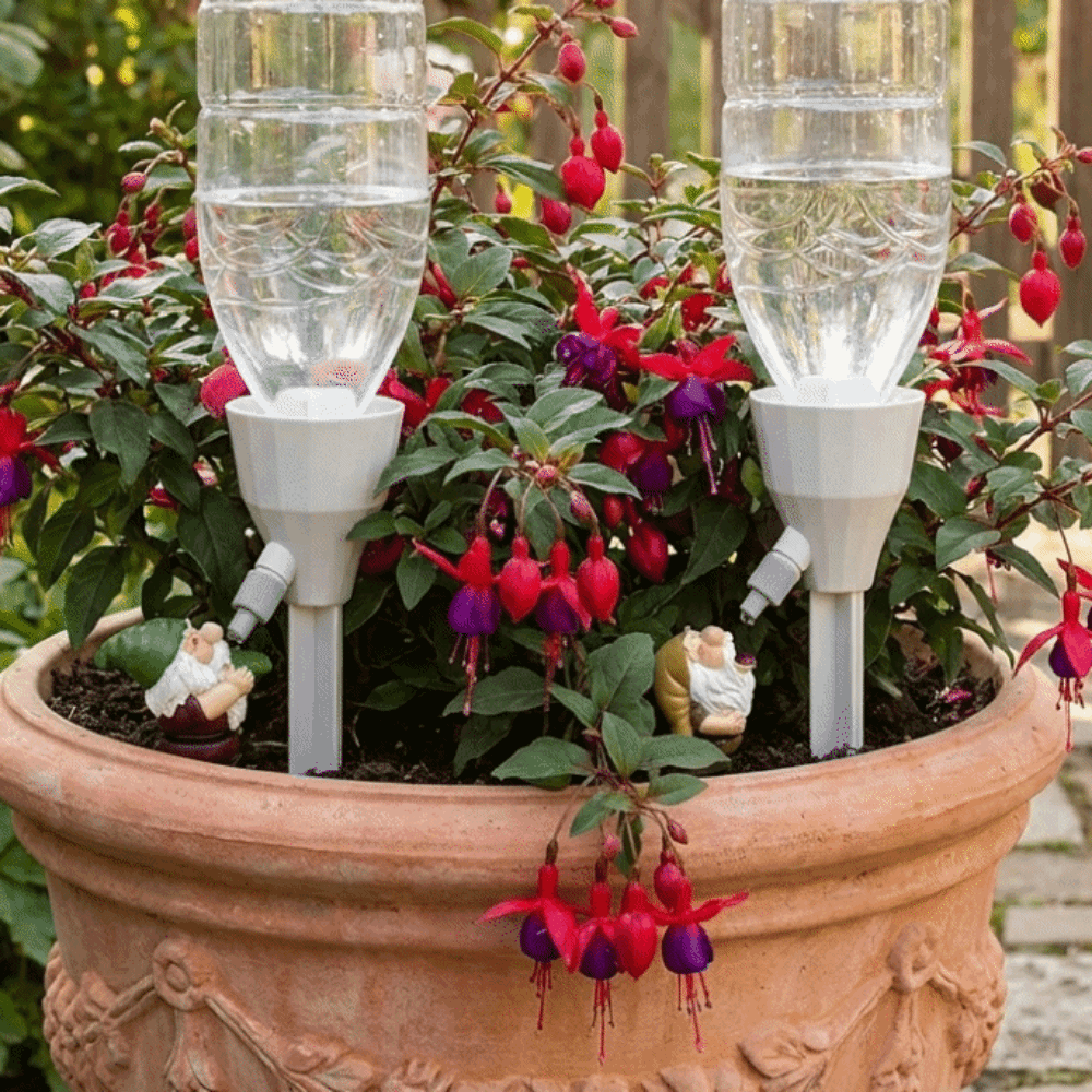 Resin Gnome Self Watering Spik - Smart Garden Watering Can 评论和价格